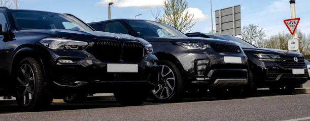 Casino Wild Jack Aip Android/iOS